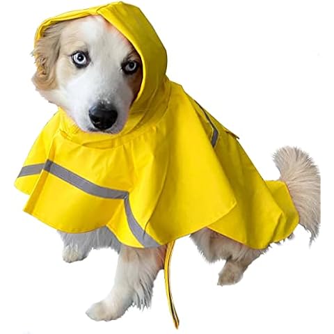 Top 10 Best Dog Raincoats for Yorkshire Terrier in 2023 (Reviews
