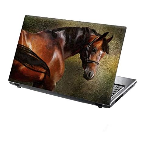 15.6 inch TaylorHe Skins thumbnail