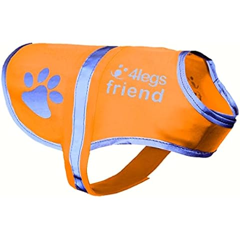 4LegsFriend thumbnail