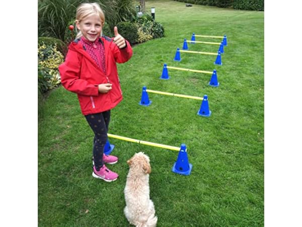 Agility-Ausrüstung für Hunde Vorschaubild