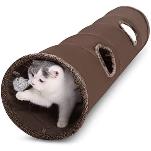 ALLSOPETS thumbnail