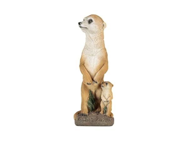 Animales para jardín Miniatura