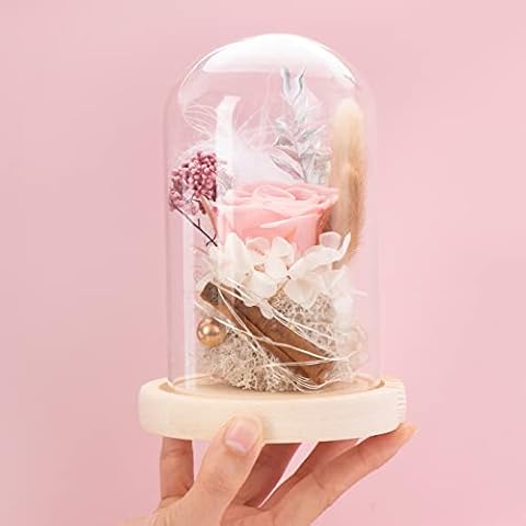 AOKKR thumbnail