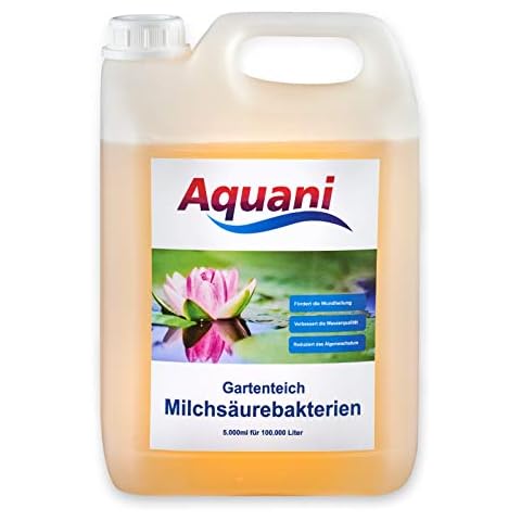 Aquani thumbnail