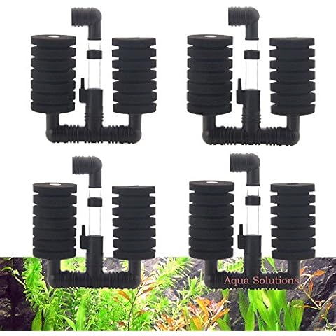 Aquapapa thumbnail