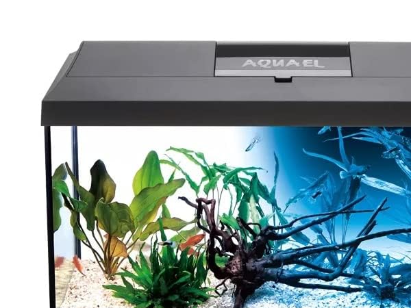 Aquarien Vorschaubild