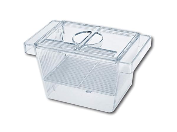 Aquariums d'élevage Vignette