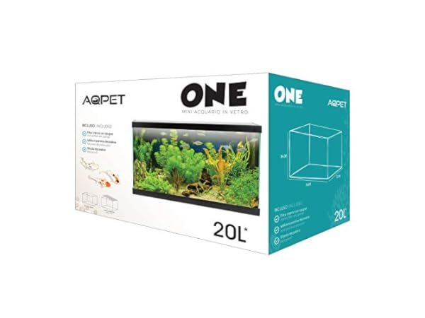 Aquariums Vignette