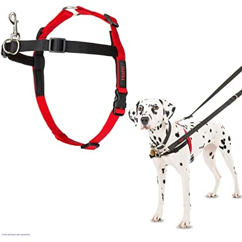Arneses antitirones para perros
