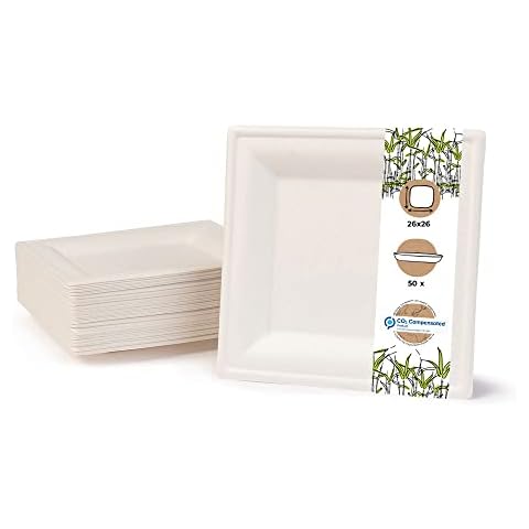 Assiettes jetables biodégradables
