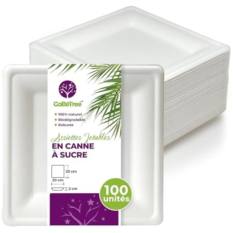 Assiettes jetables carrées