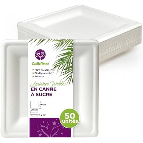 Assiettes jetables durables