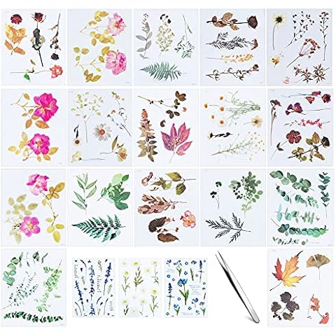 Autocollants pour scrapbooking en silicone
