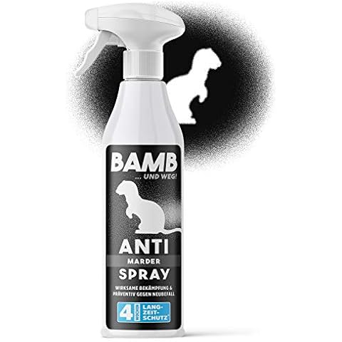 Bamb thumbnail