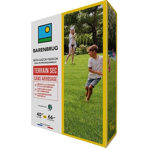Barenbrug thumbnail