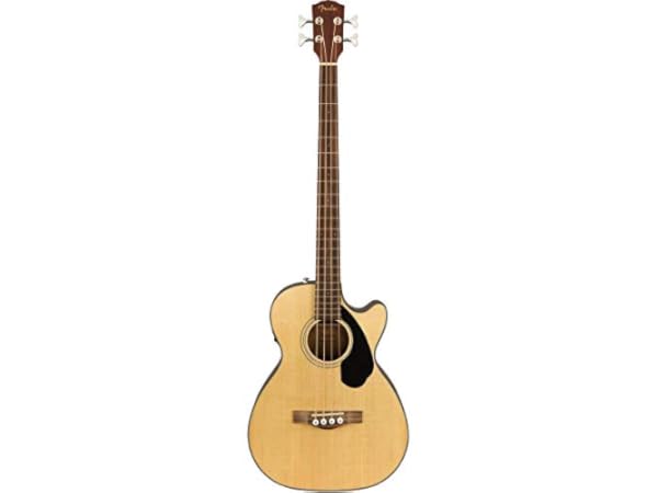 Basses éléctro-acoustiques Vignette