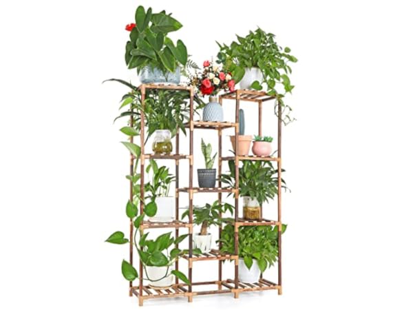 Bastidores para plantas Miniatura