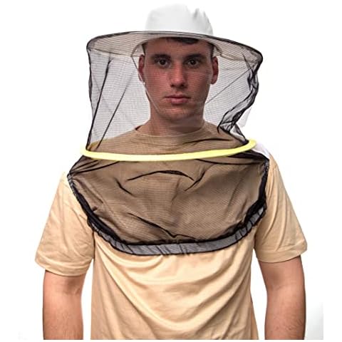 BEEART thumbnail