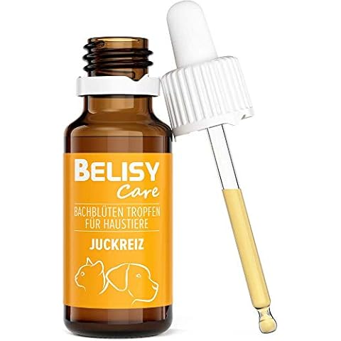 BELISY thumbnail