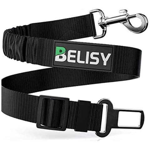 BELISY thumbnail
