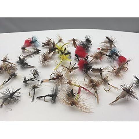 BestCity Fliegenfischen