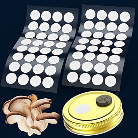 Biomed Solutions thumbnail