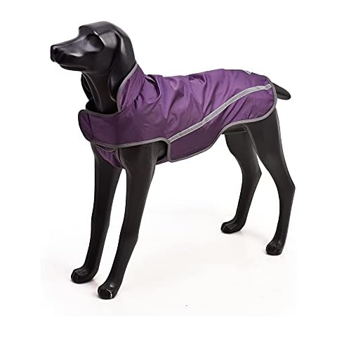 BLACKDOGGY thumbnail