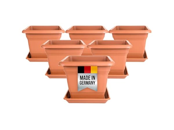 Blumentöpfe Vorschaubild