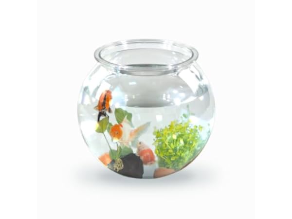 Bocaux à poissons Vignette