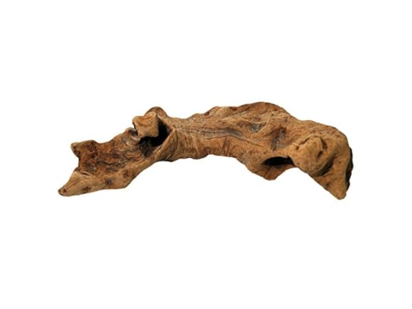 Bois d'ornement reptiles et amphibiens Vignette