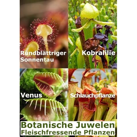 Botanische Juwelen thumbnail