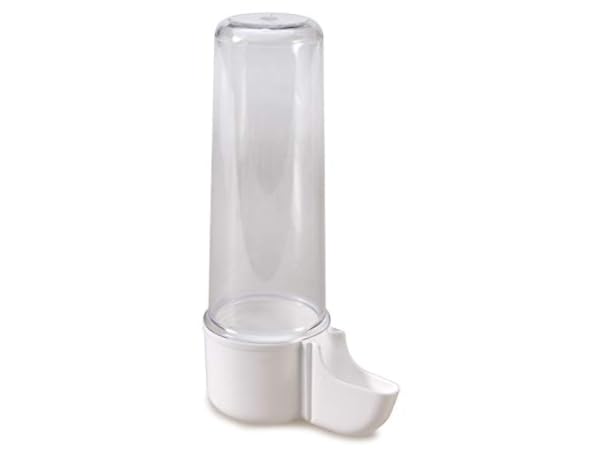 Botellas de agua para pájaros Miniatura