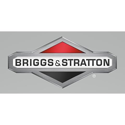 Briggs & Statton thumbnail