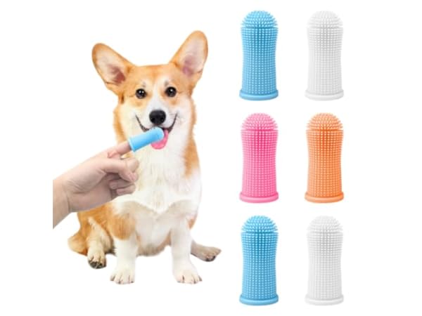 Brosses à dents pour chiens Vignette