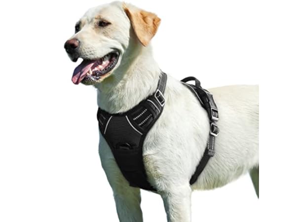 Brustgeschirre für Hunde Vorschaubild