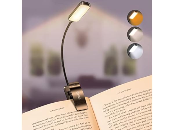 Buchlampen Vorschaubild
