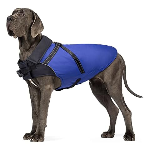 Buddypuppy thumbnail