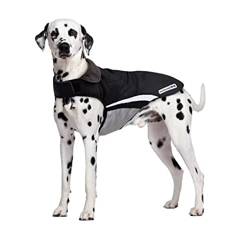 Buddypuppy thumbnail
