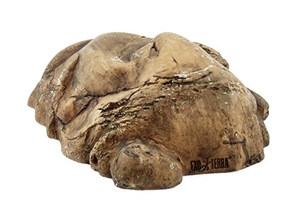 Cachettes pour reptiles et amphibiens Vignette