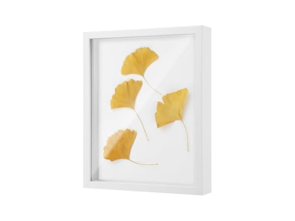 Cadres et supports sculpturaux pour photos Vignette