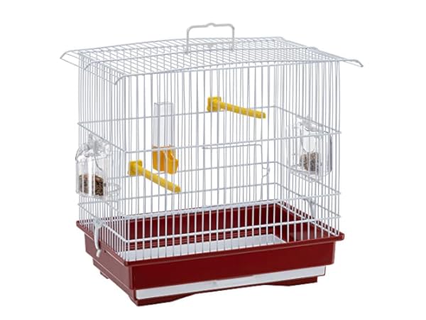 Cages à oiseaux en plastique thumbnail