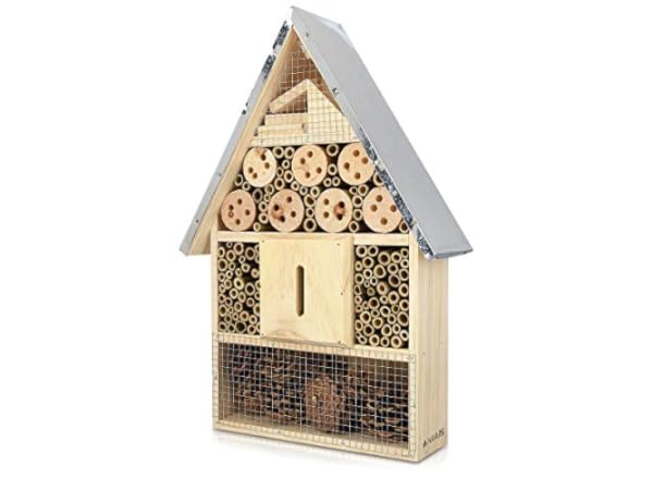 Cajas de insectos Miniatura
