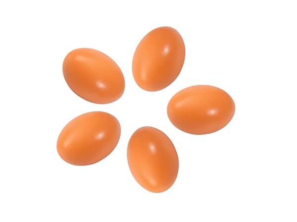 Cajas y bandejas de huevos Miniatura