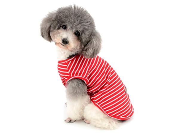 Camisas para perros Miniatura