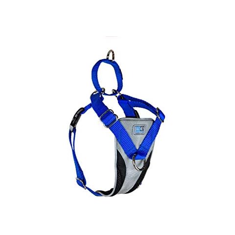 Canine Equipment thumbnail