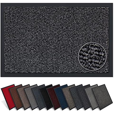 Carpet Diem thumbnail