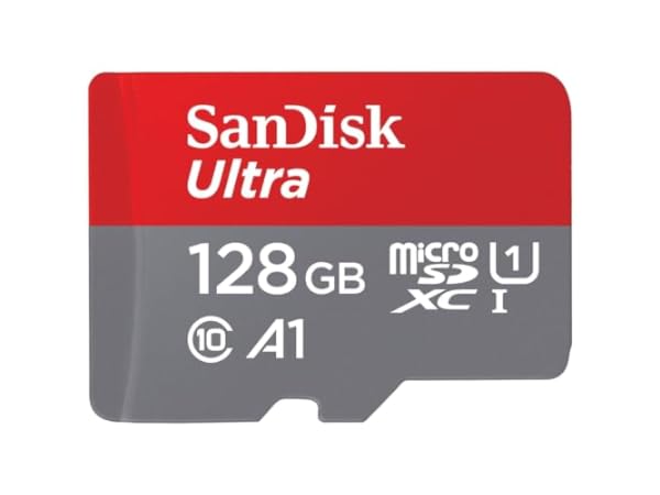 Cartes micro SD Vignette