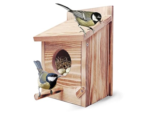 Casas para pájaros Miniatura