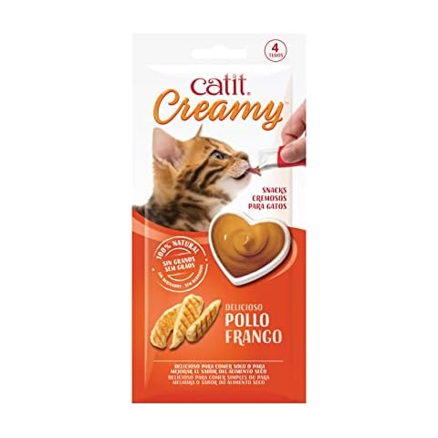 Cat it thumbnail
