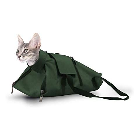 Cat-Or-Dog.boutique thumbnail
